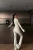 -20911.webp