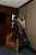 -21686.webp