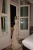 4.webp