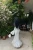 -16828.webp