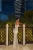 -23460.webp