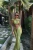 -17587.webp