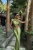 -17588.webp