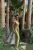 -17590.webp