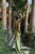 -17591.webp