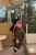-23512.webp