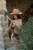 -24515.webp