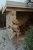 -24516.webp