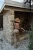 -24517.webp