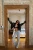 -24738.webp