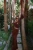 brown-skirt-suit-16085.webp