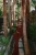 brown-skirt-suit-16087.webp