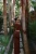 brown-skirt-suit-16089.webp
