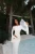 -16126.webp
