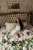 -24267.webp