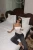 l1.webp