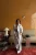 -25600.webp