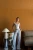 -25624.webp