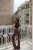 -25358.webp