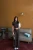 25825.webp