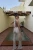-14556.webp