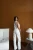 26356.webp