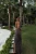 16094.webp