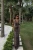 16093.webp