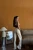 -26104.webp