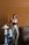 -26101.webp