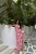 -26641.webp