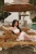 -27261.webp